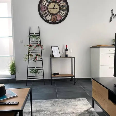 Großes 2-schlafzimmer-apartment Mit Terrasse&parkplatz - Nähe Kaiserslautern - 1